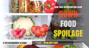 Refrigeration's Role: Slowing Food Spoilage and Extending Freshness