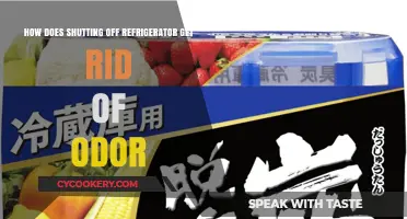 Eliminate Fridge Odors: The Surprising Method of Turning It Off