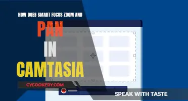 Camtasia's Smart Focus: Zoom and Pan Simplified