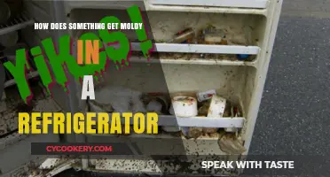 Why Food Molds in the Fridge: Uncovering Refrigerator Spoilage Secrets