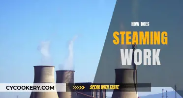 Steaming Basics: How Does It Work?