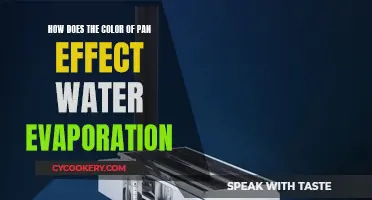 Color's Impact on Evaporation: Pan Experiments