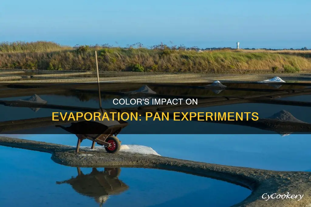 how does the color of pan effect water evaporation