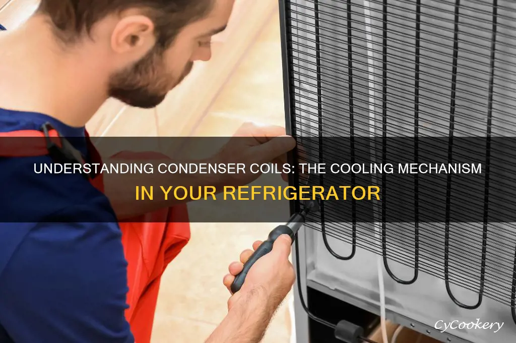 how does the condenser coils work in a refrigerator