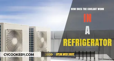 Understanding Refrigerator Coolant: How It Works to Keep Food Fresh