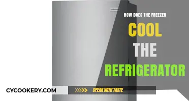 How Freezers Cool Refrigerators: The Science Behind Efficient Cooling