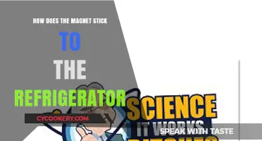 Why Magnets Stick to Refrigerators: Unraveling the Science Behind Attraction