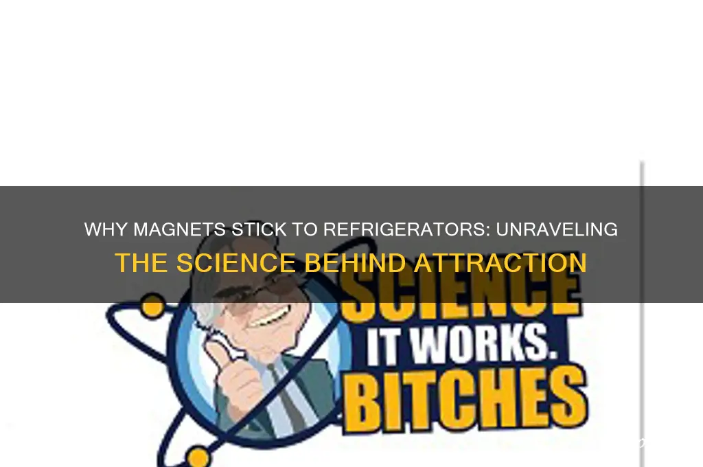 how does the magnet stick to the refrigerator