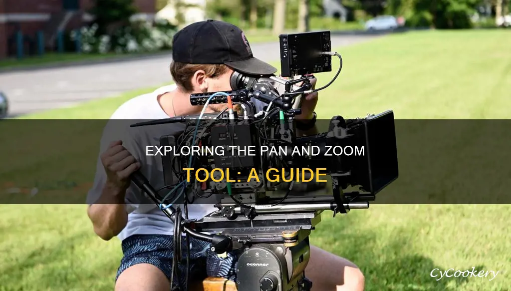 how does the pan and zoom tool work