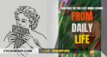 Pan Flute: Mimicking Daily Life Sounds