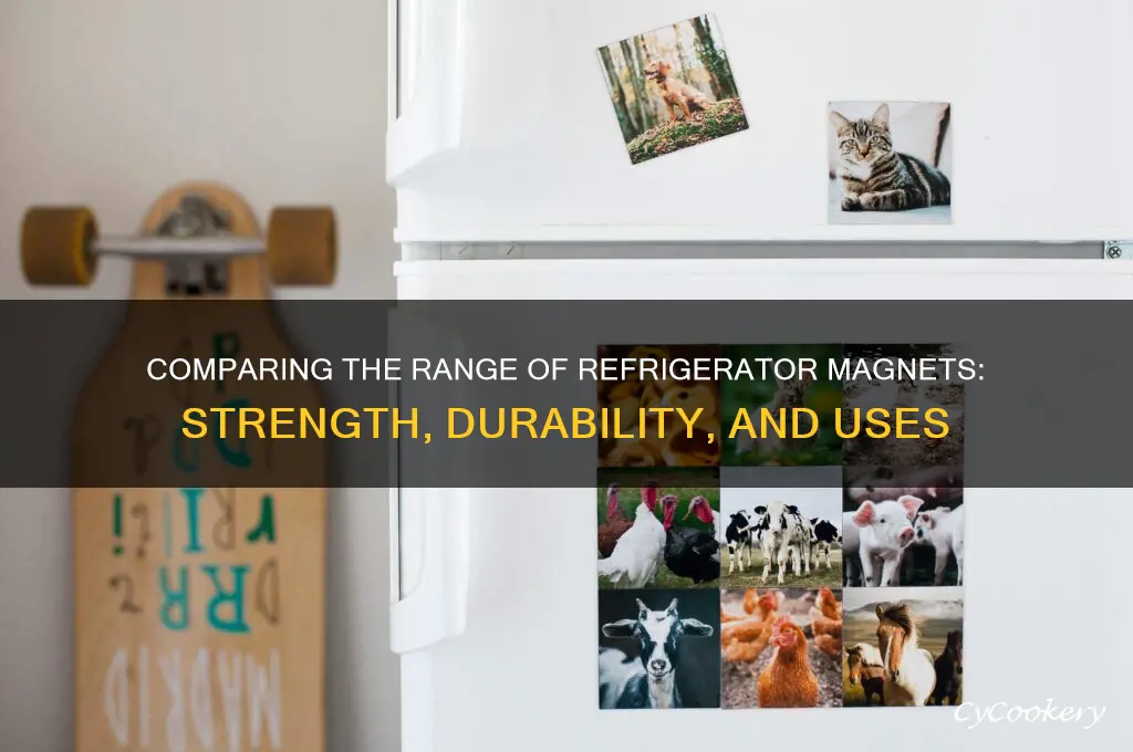 how does the range of refrigerator magnets compare