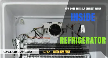 Understanding Self-Defrosting: How Your Refrigerator Stays Frost-Free Effortlessly