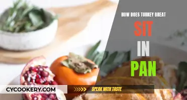 Turkey Roasting: Best Pan Placement for Even Cooking