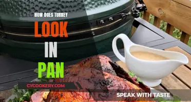 Turkey in Pan: A Picture-Perfect Guide