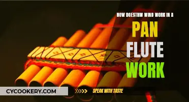 The Pan Flute: Wind Magic