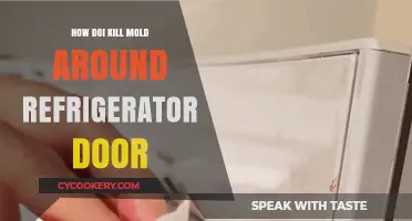 Effective Ways to Eliminate Mold Around Your Refrigerator Door