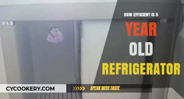 Is Your 5-Year-Old Fridge Still Energy Efficient? Find Out!