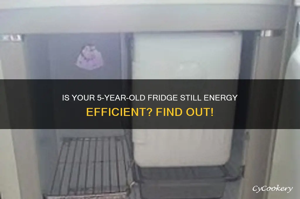 how efficient is 5 year old refrigerator