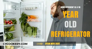 Is Your Decade-Old Fridge Still Energy Efficient? Find Out Now