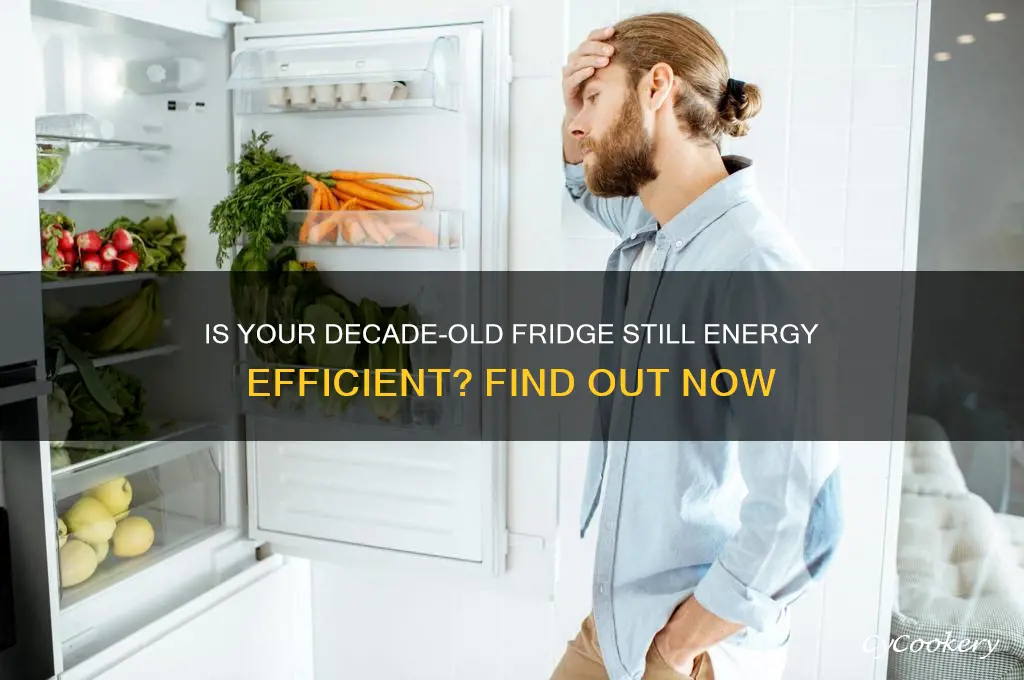 how efficient is a 10 year old refrigerator