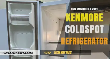 Kenmore Coldspot 2001 Refrigerator Efficiency: A Comprehensive Review