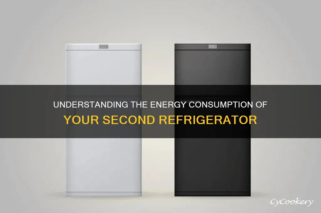 how electricity does a second refrigerator use