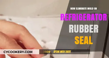 Effective Ways to Remove Mold from Your Fridge's Rubber Seal