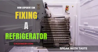 Costly Repairs: How Expensive Can Fixing a Refrigerator Really Be?