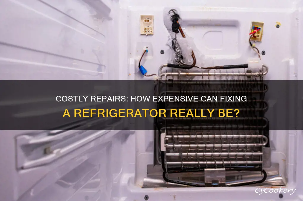 how expcieve can fixing a refrigerator