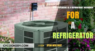 Refrigerant Recharge Cost: What to Expect for Your Fridge Repair