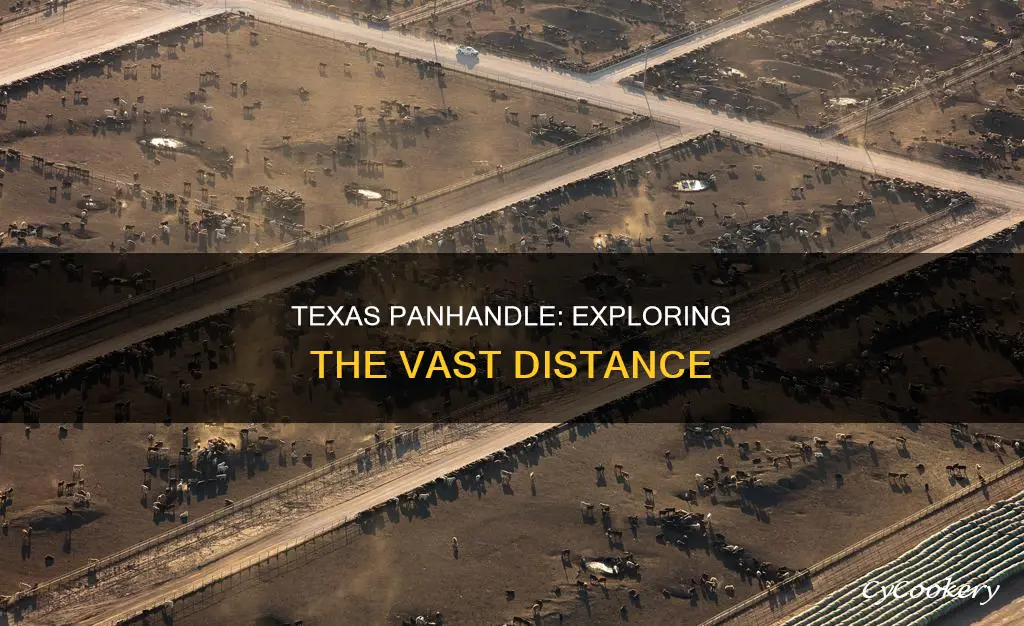 how far across the texas pan handle