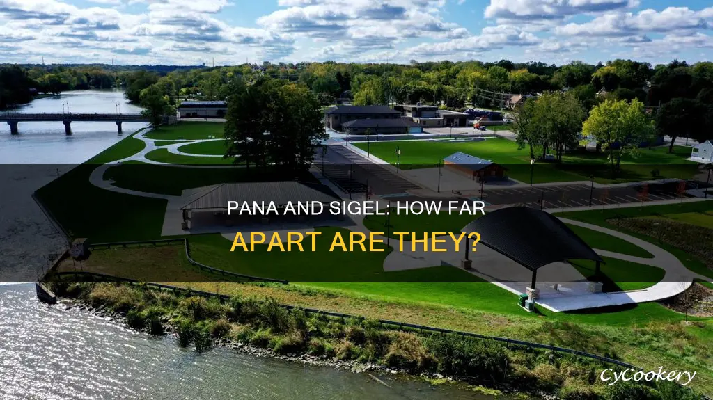 how far is pana il from sigel il