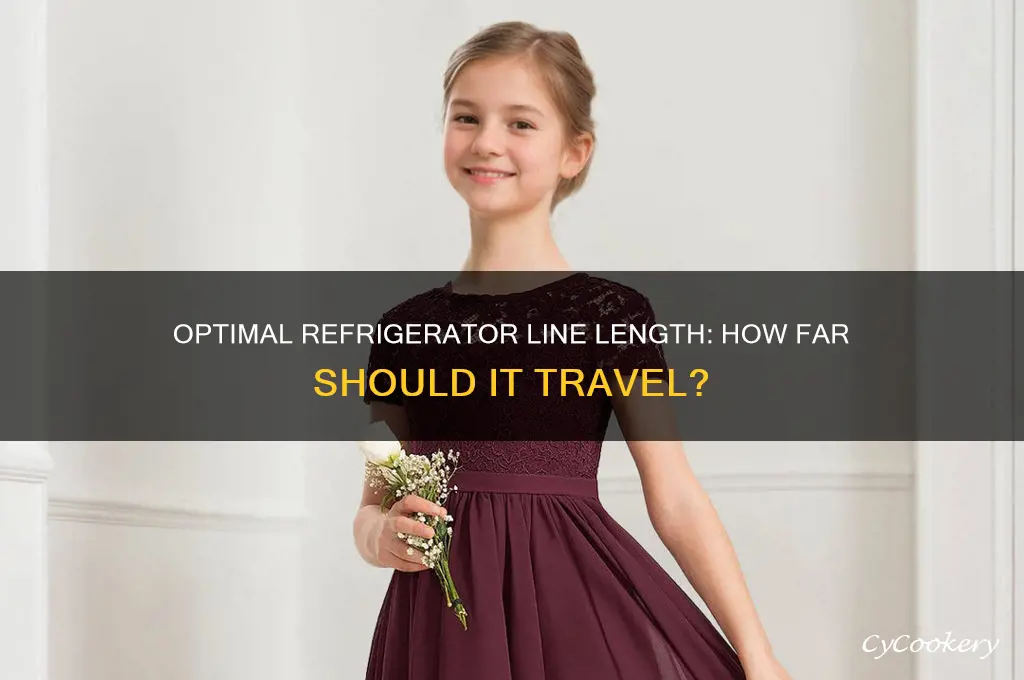 how far should my refrigerator line travel