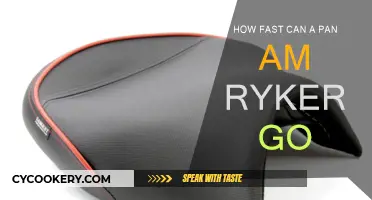 Exploring the Top Speed of a Pan Am Ryker