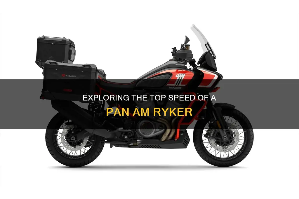 how fast can a pan am ryker go