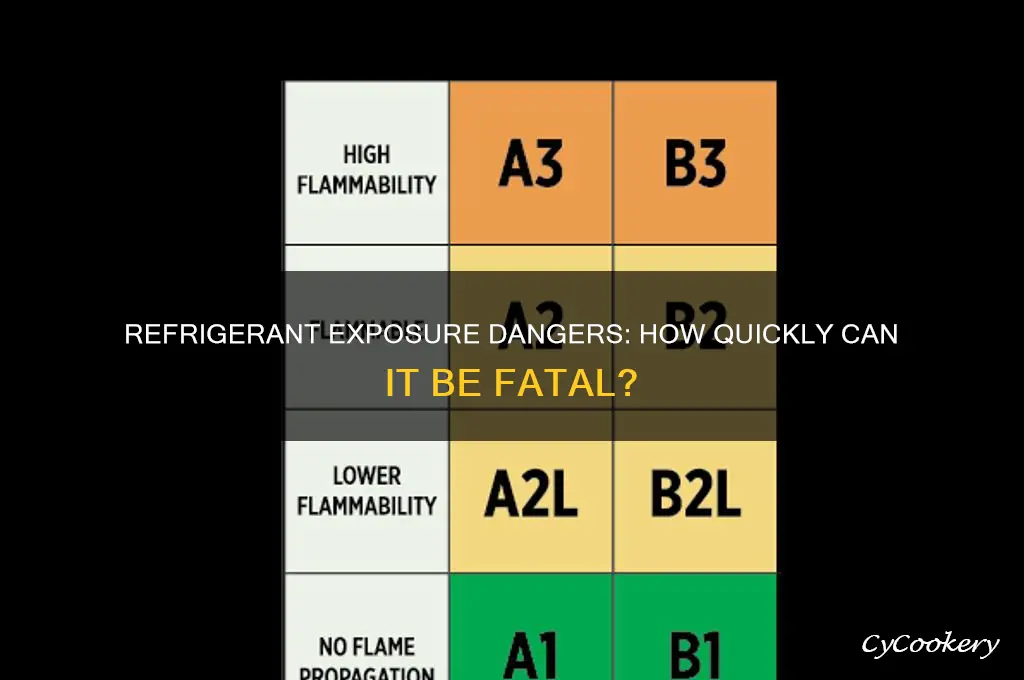 how fast can refrigerant kill u