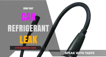 Rapid Refrigerant Leaks: Understanding Speed and Detection Methods
