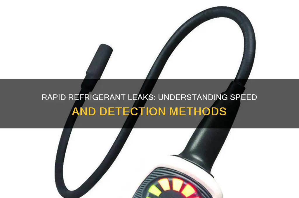 how fast can refrigerant leak