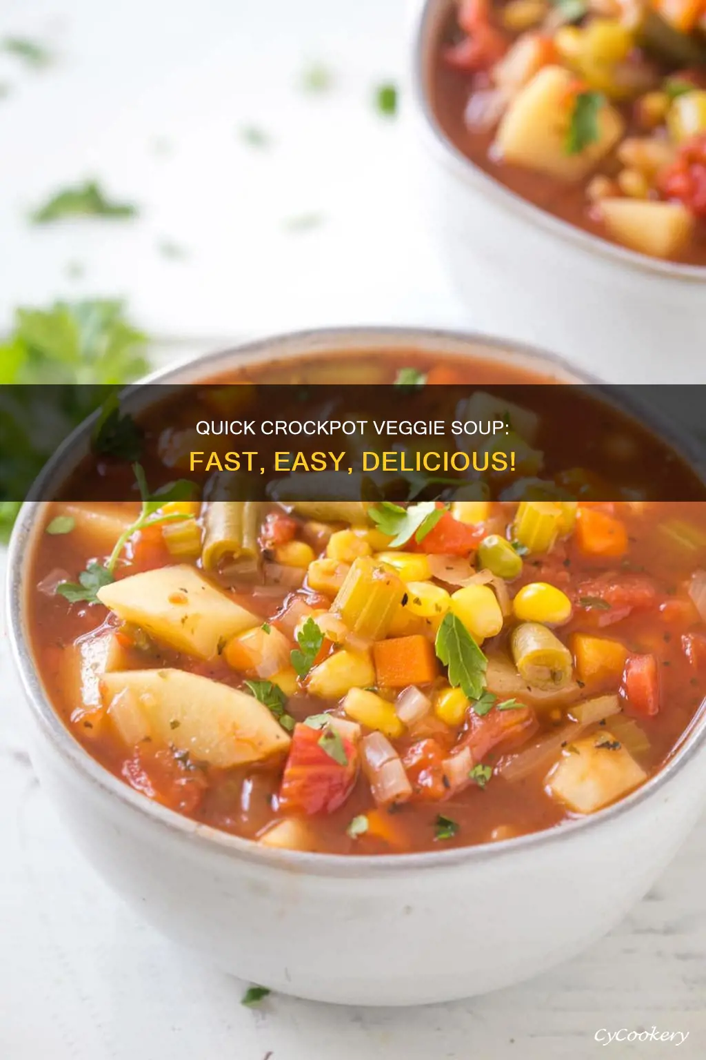 how fast can you cook veggie soup in crock pot