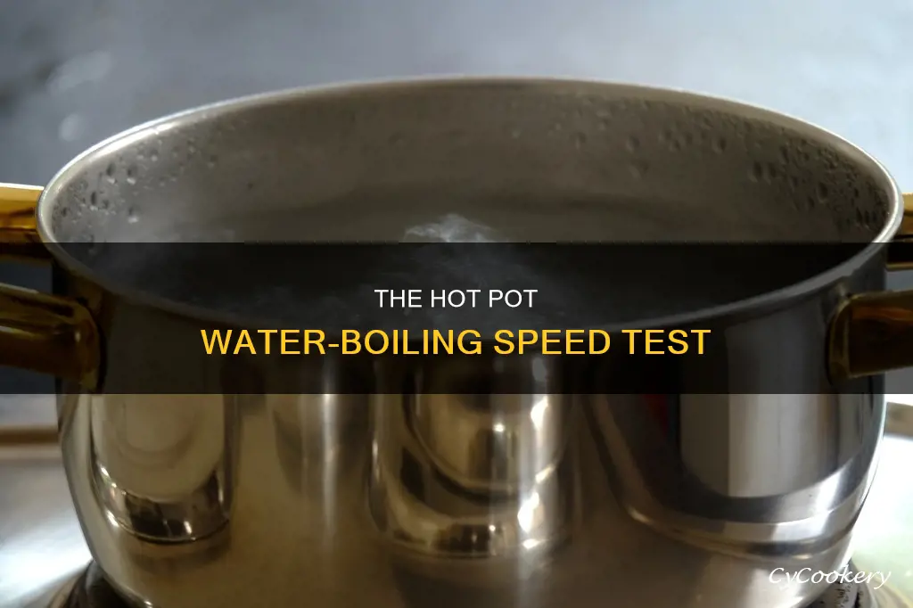 how fast does a hot pot boil water