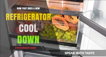 How Quickly Does a New Refrigerator Reach Optimal Cooling Temperature?
