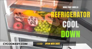 How Quickly Does a Refrigerator Reach Optimal Cooling Temperature?