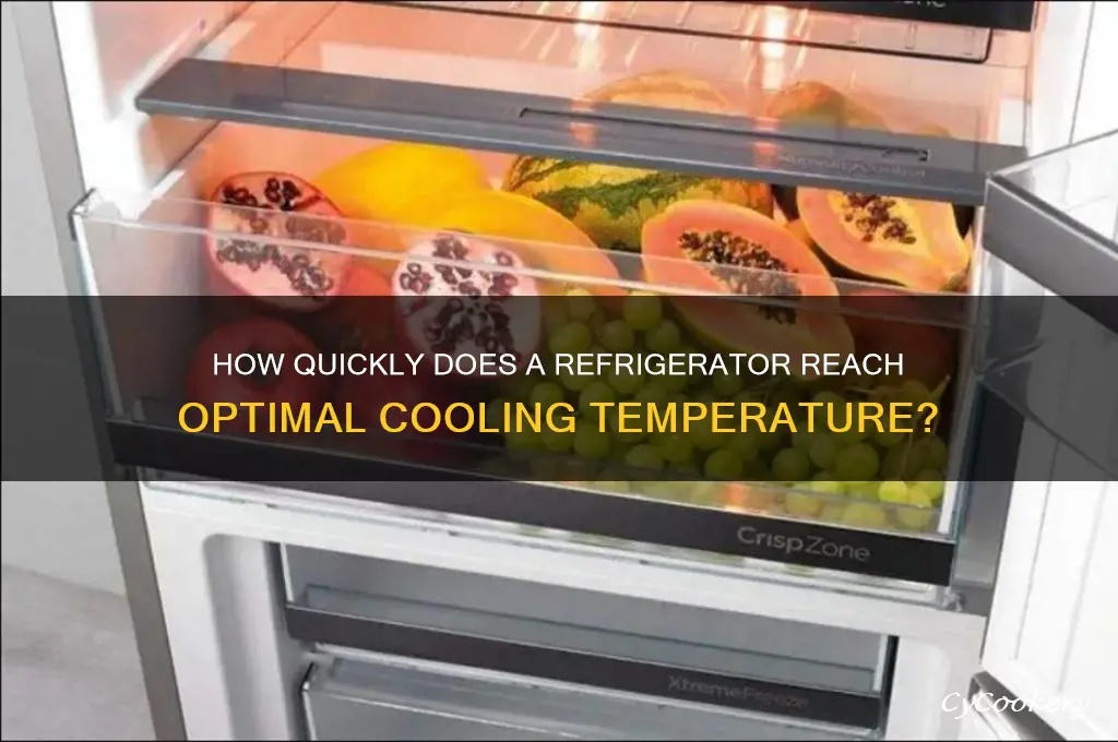 how fast does a refrigerator cool down