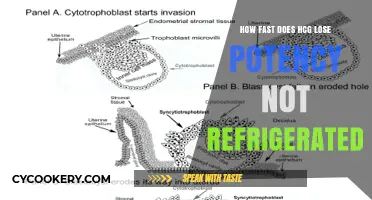 HCG Potency Loss: How Quickly Does It Deteriorate Without Refrigeration?