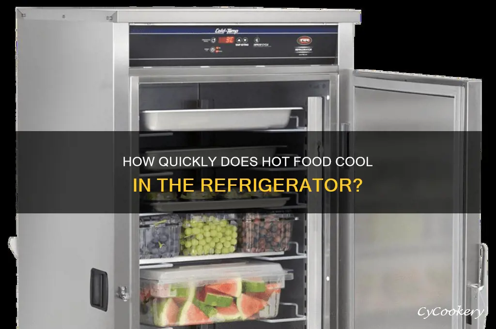 how fast does hof food cool in refrigerator