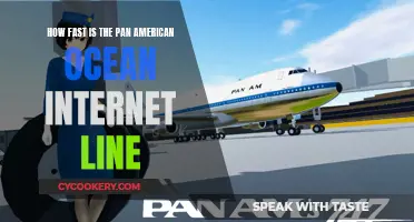 The Pan-American Ocean Internet Line: Unbelievably Fast