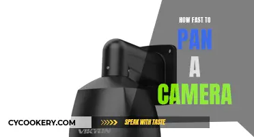 Panning Camera Speed: Mastering the Art of Motion