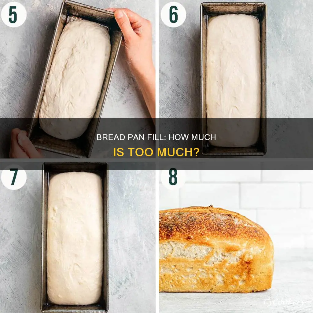 how full should bread pan be