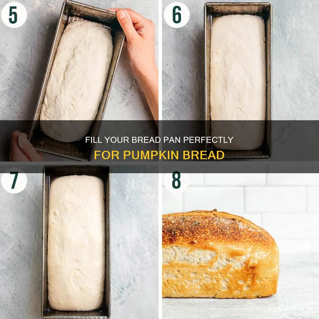 how full to fill bread pan for pumpkin bread