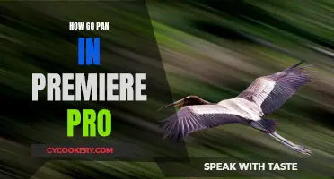 Panning in Premiere Pro: A Step-by-Step Guide